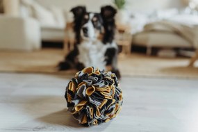 Παιχνίδια για Σκύλους Hunter