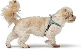 Λουρί Σκύλου Hunter SOHO MINI Μπλε XS