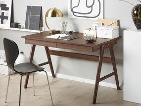 Τραπέζι γραφείου Berwyn 834, Με συρτάρια, 75x120x70cm, 30 kg, Σκούρο ξύλο, Ξύλο: Δρυς | Epipla1.gr