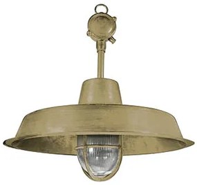 OD5393