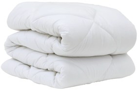vidaXL Χειμερινό Παπλωματοθήκη 3 pcs Λευκό 200 x 220 cm Μικροΐνες