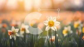 Intra Συλλεκτικό Ξύλινο Παζλ Plywood 4mm - Πεδίο με ασφόδελους και ανοιξιάτικα λουλούδια Σε Ξύλινο Κουτί - Διαστάσεις: 10x10 cm – 25 κομμάτια