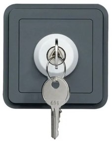 Διακόπτης 2 Θέσεων με Κλειδί Γκρι ΙΡ55 Cubyko WNA035 Hager-WNA035-Ανθρακί WNA035