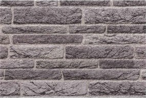 vidaXL Πάνελ τοίχου 10 pcs Ανθρακί 100 x 50 cm Αφρός EPS