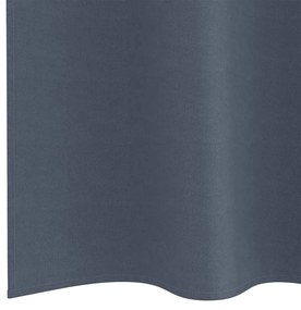 vidaXL Κουρτίνες με κουρτίνες 2 pcs Ανθρακί Πολυεστέρας