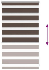 vidaXL Ρόλερ Zebra Καφέ 50 x 100cm