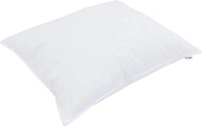 vidaXL Μαξιλάρι με μαξιλάρι Λευκό 50 x 75 cm Βαμβάκι