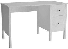 Γραφείο 787CDL1201 120x60x75cm White