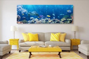 Εικόνα τροπικά ψάρια - 150x50