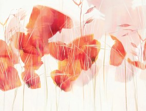 Εικονογράφηση Modern poppies, Nel Talen, (40 x 30 cm)
