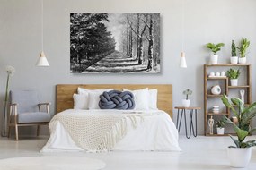 Εικόνα της φθινοπωρινής αλέας με δέντρα σε μαύρο & άσπρο - 60x40