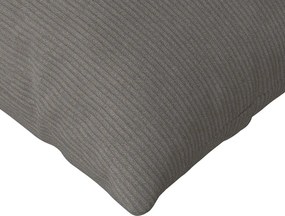 vidaXL Μαξιλάρι Καναπέ 2 pcs Ανοιχτό γκρι 120 x 40 cm