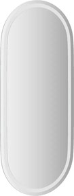 vidaXL Καθρέφτης Μπάνιου με LED Οβάλ 100 x 45 εκ.