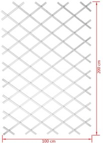 Nature Καφασωτό Κήπου Λευκό 100 x 200 εκ. από PVC 6040703 - Λευκό