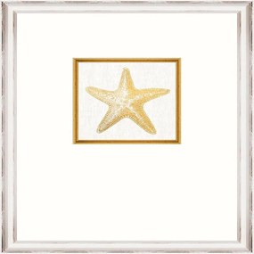 Κάδρο Starfish Fa13367 35X45Cm White-Gold Mindthegap Κάθετοι Wood