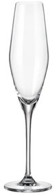 Ποτήρι Σαμπάνιας 210ml Loxia - Crystal Bohemia - 6 ΤΜΧ
