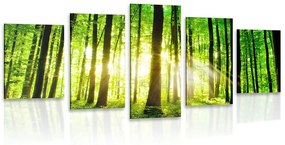 Εικόνα 5 μερών φρέσκο ​​πράσινο δάσος - 100x50