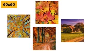 Σετ εικόνων της φύσης στα χρώματα του φθινοπώρου - 4x 40x40