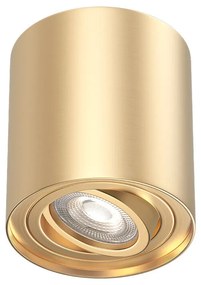 Φωτιστικό Σποτ Braytron BH04-00306 Χρυσό Ματ (Gold Mat- Satin)