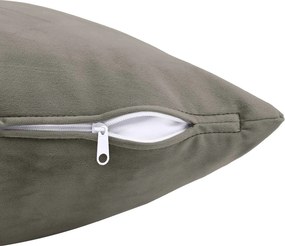 vidaXL Μαξιλάρι Ρίψης 2 τμχ. HEERLEN Ανοιχτό γκρι 40 x 145 cm Βελούδο