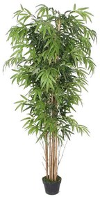 Τεχνητό Δέντρο Μπαμπού Lucky 0430-6 70x180cm Green Supergreens Ύφασμα,Bamboo
