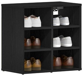 vidaXL Ντουλάπα Παπουτσιών με ράφι 2 pcs Μαύρη δρυς 52 x 30 x 50.5 εκ.