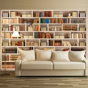 Φωτοταπετσαρία - Home library 200x140