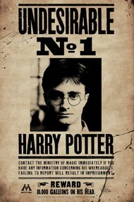 Εικονογράφηση Harry Potter - Undesirable No 1