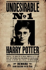 Εκτύπωση τέχνης Harry Potter - Undesirable No 1, (26.7 x 40 cm)