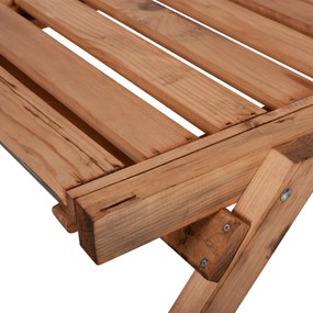 ΞΑΠΛΩΣΤΡΑ ΕΠΑΓΓΕΛΜΑΤΙΚΗ HM11431.03 ΞΥΛΟ ΕΛΑΤΗΣ ΣΕ ΦΥΣΙΚΗ ΑΠΟΧΡΩΣΗ 194x65x30Υ εκ. - 0615015 - HM11431.03