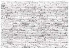 Φωτοταπετσαρία - White Brick 150x105