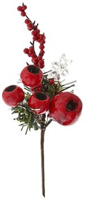 Κλαδί Πικ Ρόδια 79722 23cm Red