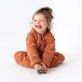 Bemini Magic Bag® 3Tog Wouff Brown 12-24M.