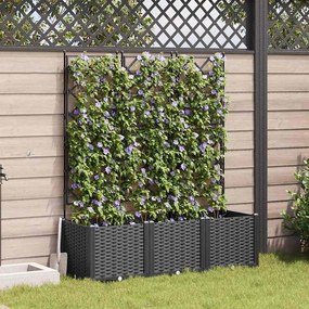 vidaXL Γλάστρα Κήπου με Τρέλλις 3 τμχ Μαύρη 120x40x143 εκ.