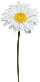 Τεχνητό Λουλούδι Μαργαρίτα 00-23855-30-4 Φ30x90cm White Marhome Ύφασμα,Πλαστικό