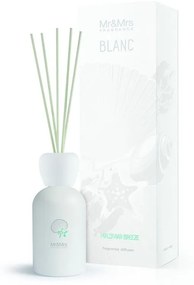 Αρωματικό Χώρου Με Στικς Blanc Diffuser Maldivian Breeze 250ml Mr & Mrs Fragrance Glass