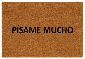 Πατάκι Εισόδου Pisame Mucho LBTAH-AX71029 40x60cm Brown-Black Andrea House 40Χ60