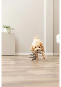 Βελούδινο Ζωάκι για Σκύλους Trixie