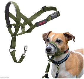 Ρύγχος Company of Animals FOREST Πράσινο Μέγεθος 1