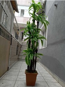 Τεχνητό δέντρο γιούκα δρασένια παλμιέ για σπίτι και γραφείο Πράσινο