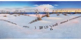 MarHome ΠΙΝΑΚΑΣ ΚΑΜΒΑΣ ΑΚΤΗ-ΓΛΑΡΟΙ 80x170x2,5cm. 6/ΚΙΒ  16-17664