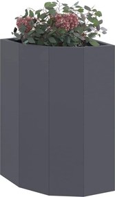 vidaXL Γωνιακό Ροδόδεντρο Ανθρακί 30 x 30 x 50 cm Ατσάλι