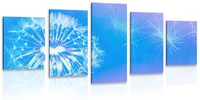 Εικόνα 5 μερών Πικραλίδα σε μπλε φόντο - 100x50