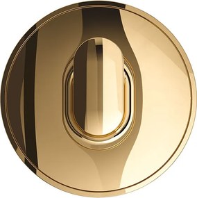 Tiger Cooper Άγκιστρο large Polished gold 800556