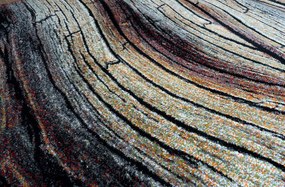 Χαλί 160x230 Σόνομα