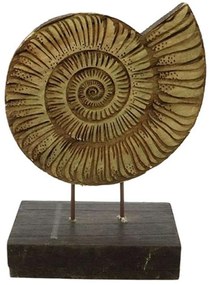 Διακοσμητικό Κοχύλι Σε Βάση 012.862101098 16,5x23cm Multi Wood