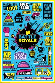 Αφίσα Battle Royale - Infographic, (61 x 91.5 cm)