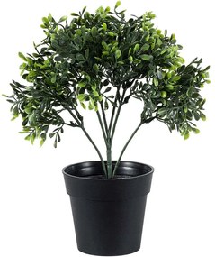 Τεχνητό Φυτό Buxus 20387 30cm Green Globostar Πολυαιθυλένιο
