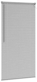 vidaXL Ρολό Παραθύρου με κουρτίνες Ασημί Αλουμίνιο