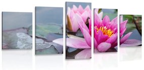Εικόνα 5 τμημάτων ροζ λουλούδι λωτού - 100x50